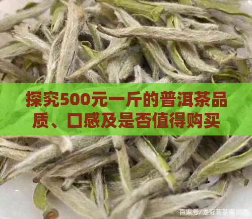 探究500元一斤的普洱茶品质、口感及是否值得购买：一篇详尽解析