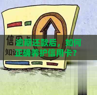 逾期还款后，如何正确养护信用卡？ - 针对信用卡逾期后的管理和恢复策略