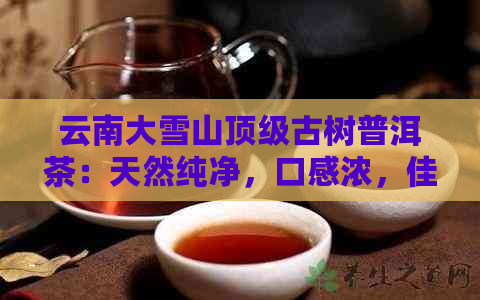 云南大雪山顶级古树普洱茶：天然纯净，口感浓，佳品