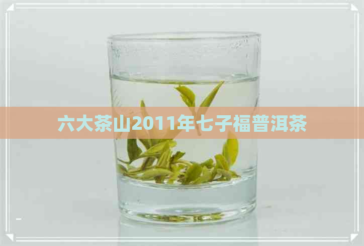 六大茶山2011年七子福普洱茶