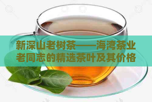 新深山老树茶——海湾茶业老同志的精选茶叶及其价格一览