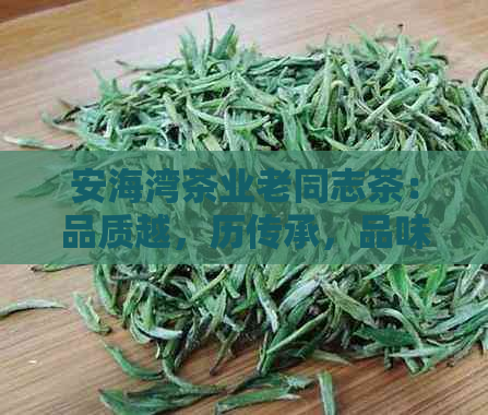 安海湾茶业老同志茶：品质越，历传承，品味人生