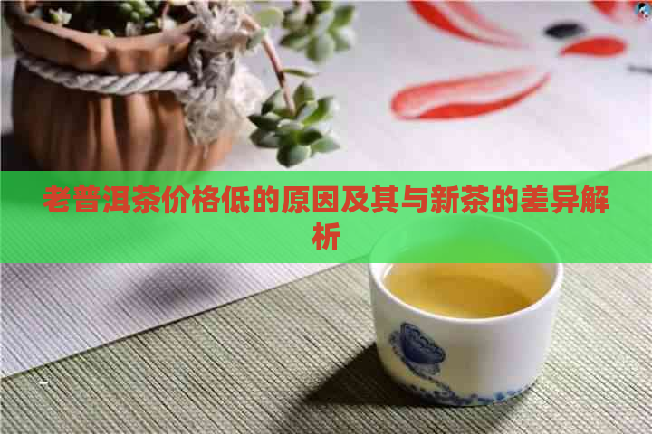 老普洱茶价格低的原因及其与新茶的差异解析