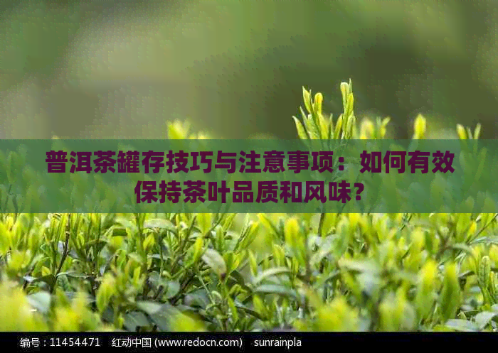 普洱茶罐存技巧与注意事项：如何有效保持茶叶品质和风味？