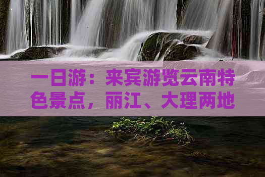 一日游：来宾游览云南特色景点，丽江、大理两地全攻略