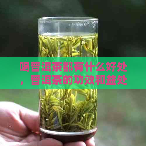 喝普洱茶都有什么好处，普洱茶的功效和益处，以及对身体的影响。