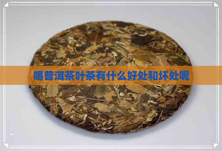 喝普洱茶叶茶有什么好处和坏处呢