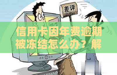 信用卡因年费逾期被冻结怎么办？解冻及新政策详解