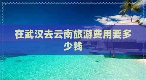 在武汉去云南旅游费用要多少钱