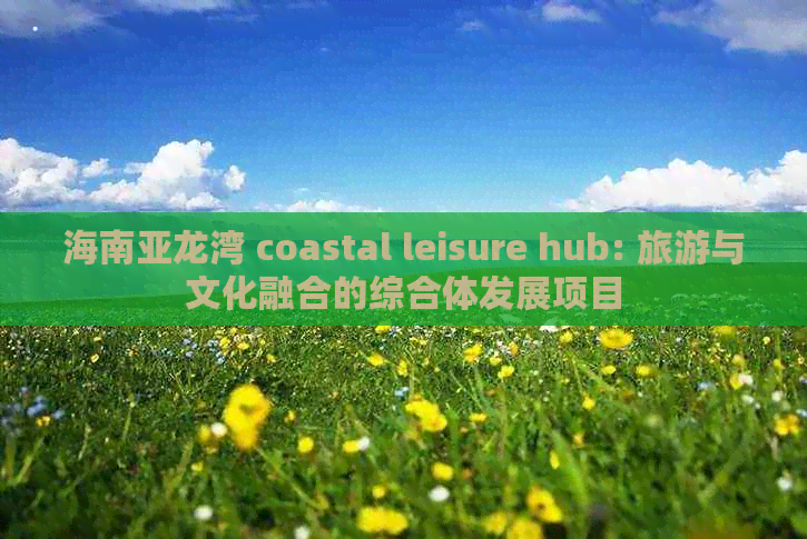 海南亚龙湾 coastal leisure hub: 旅游与文化融合的综合体发展项目