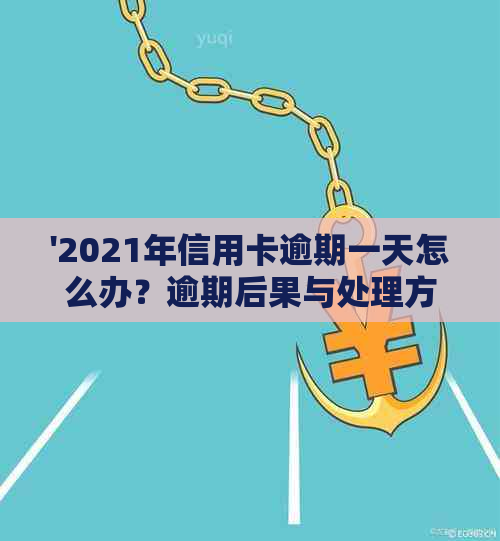 '2021年信用卡逾期一天怎么办？逾期后果与处理方法'