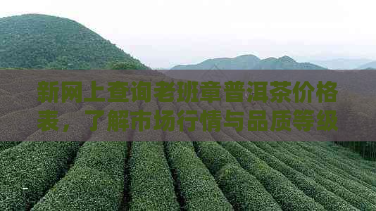 新网上查询老班章普洱茶价格表，了解市场行情与品质等级