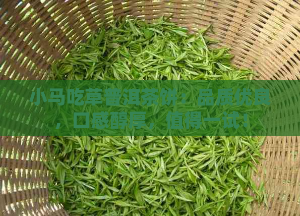 小马吃草普洱茶饼：品质优良，口感醇厚，值得一试！