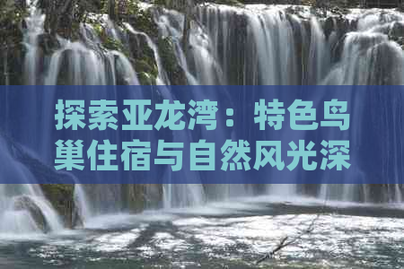 探索亚龙湾：特色鸟巢住宿与自然风光深度游览路线