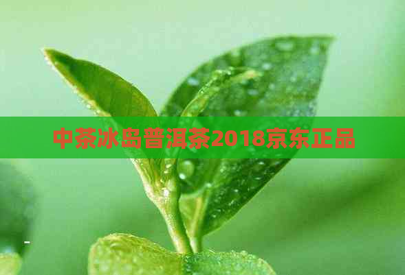 中茶冰岛普洱茶2018京东正品