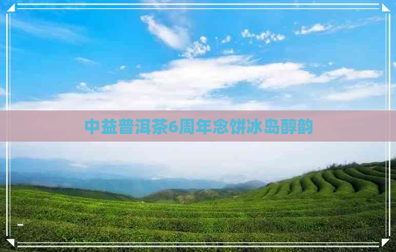 中益普洱茶6周年念饼冰岛醇韵