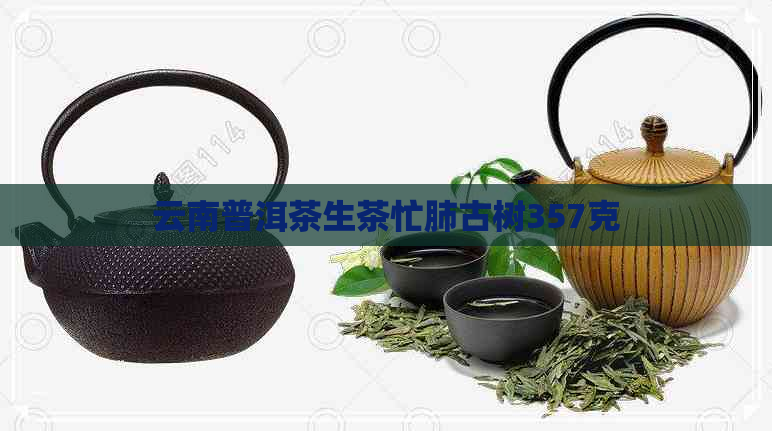 云南普洱茶生茶忙肺古树357克