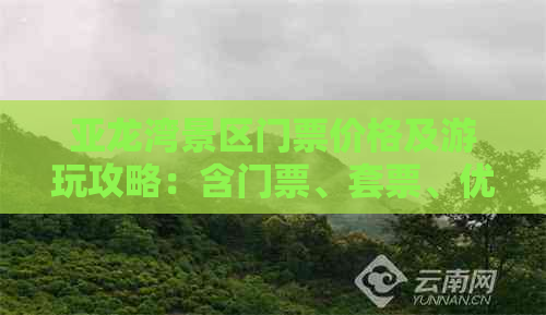 亚龙湾景区门票价格及游玩攻略：含门票、套票、优惠政策一览