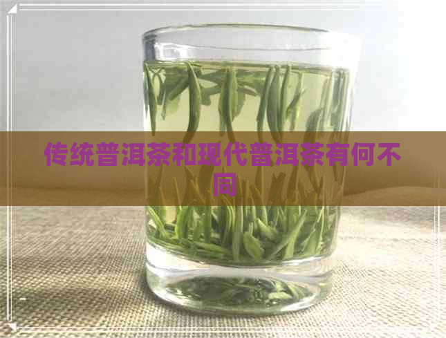 传统普洱茶和现代普洱茶有何不同