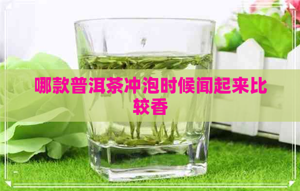 哪款普洱茶冲泡时候闻起来比较香