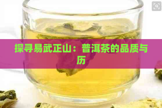 探寻易武正山：普洱茶的品质与历