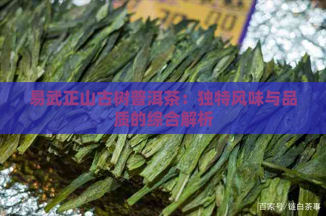 易武正山古树普洱茶：独特风味与品质的综合解析