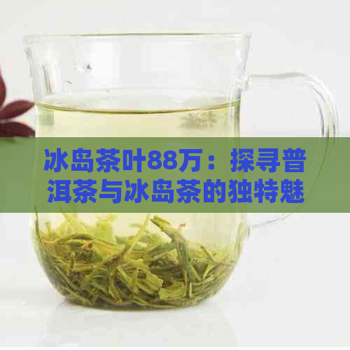 冰岛茶叶88万：探寻普洱茶与冰岛茶的独特魅力