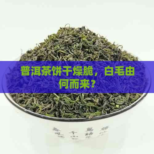 普洱茶饼干燥脆，白毛由何而来？