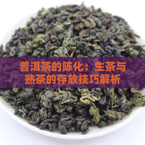 普洱茶的陈化：生茶与熟茶的存放技巧解析