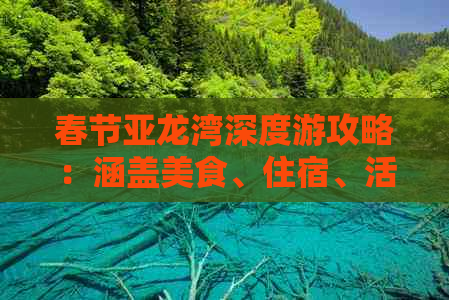 春节亚龙湾深度游攻略：涵盖美食、住宿、活动及实用信息一站式指南