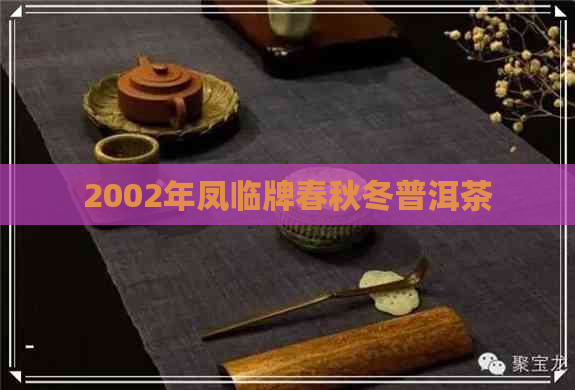 2002年凤临牌春秋冬普洱茶