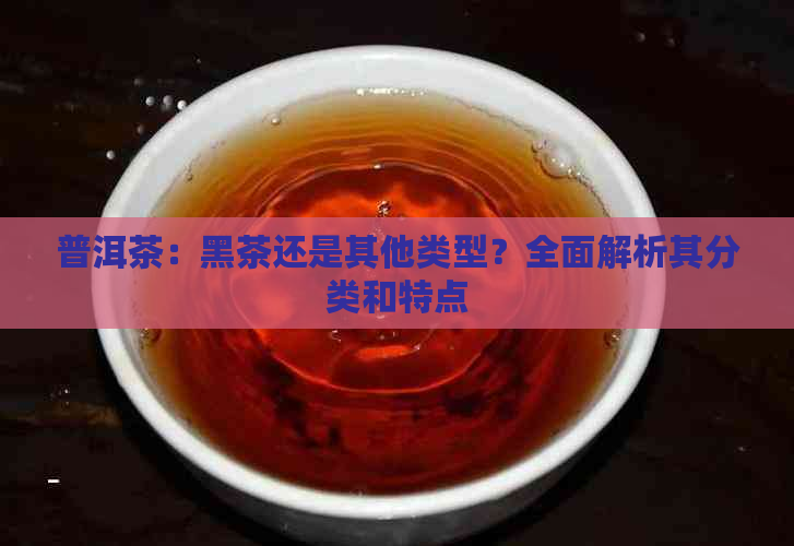 普洱茶：黑茶还是其他类型？全面解析其分类和特点