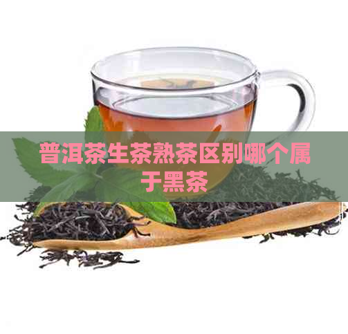 普洱茶生茶熟茶区别哪个属于黑茶