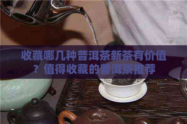 收藏哪几种普洱茶新茶有价值？值得收藏的普洱茶推荐