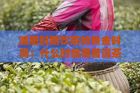 减肥时期饮茶的黄金时间：什么时候喝普洱茶最有效？