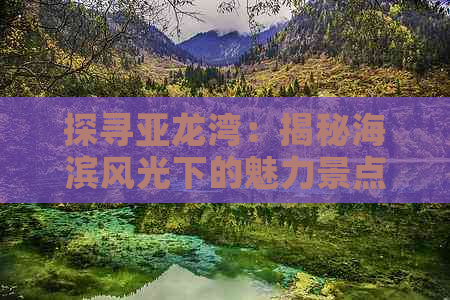 探寻亚龙湾：揭秘海滨风光下的魅力景点