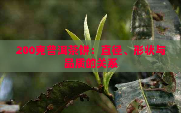 200克普洱茶饼：直径、形状与品质的关系