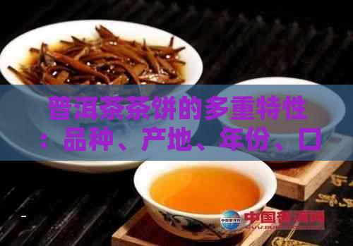 普洱茶茶饼的多重特性：品种、产地、年份、口感、功效与泡法全方位解析