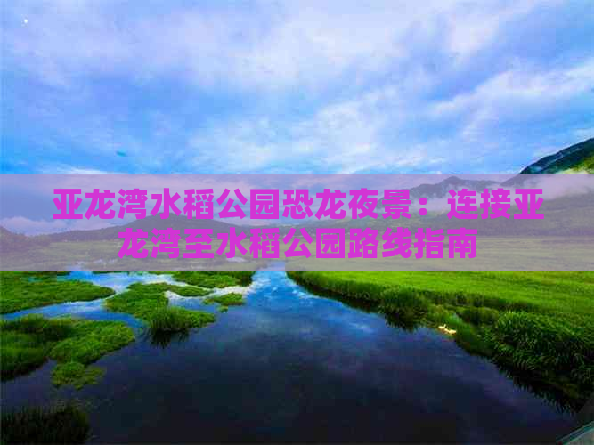 亚龙湾水稻公园恐龙夜景：连接亚龙湾至水稻公园路线指南