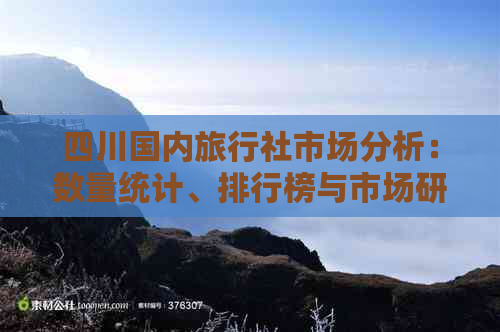 四川国内旅行社市场分析：数量统计、排行榜与市场研究报告