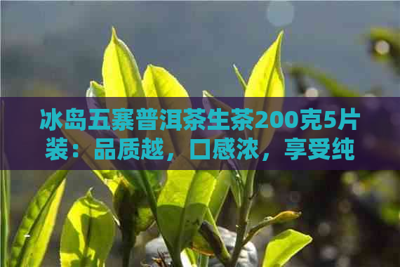 冰岛五寨普洱茶生茶200克5片装：品质越，口感浓，享受纯正的冰岛茶香