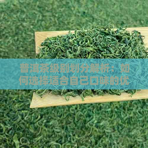 普洱茶级别划分解析：如何选择适合自己口味的优质茶菁？