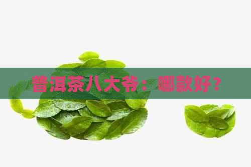 普洱茶八大爷：哪款好？