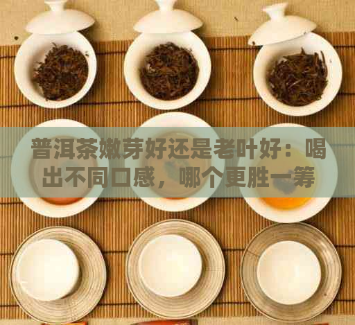 普洱茶嫩芽好还是老叶好：喝出不同口感，哪个更胜一筹？