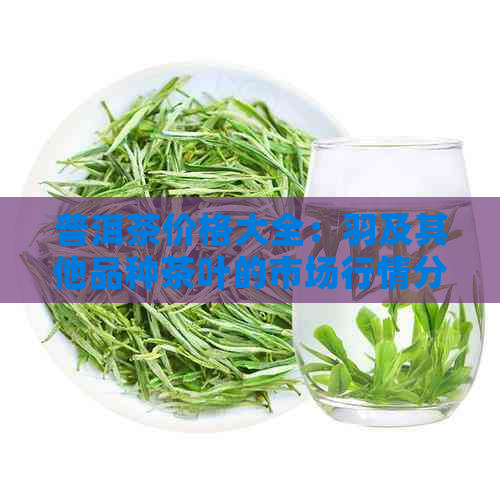 普洱茶价格大全：羽及其他品种茶叶的市场行情分析