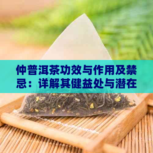 仲普洱茶功效与作用及禁忌：详解其健益处与潜在风险