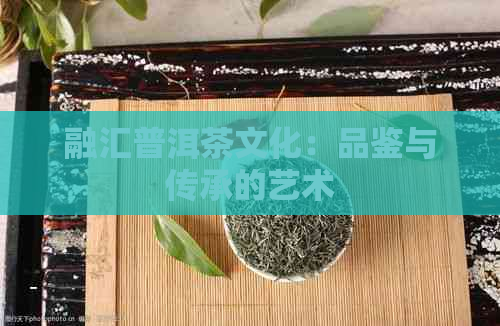 融汇普洱茶文化：品鉴与传承的艺术