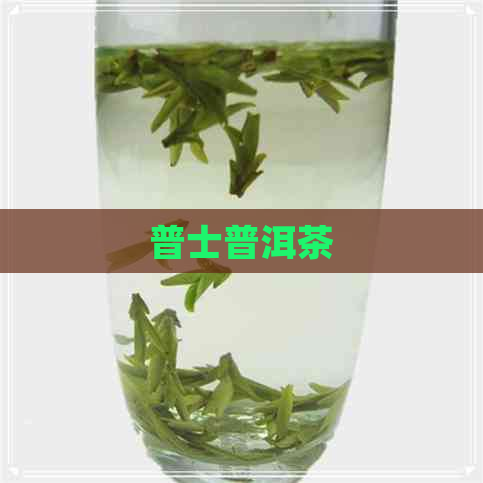 普士普洱茶