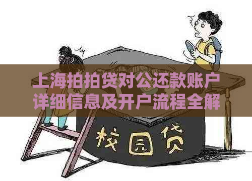 上海对公还款账户详细信息及开户流程全解析，让您轻松还款无困扰