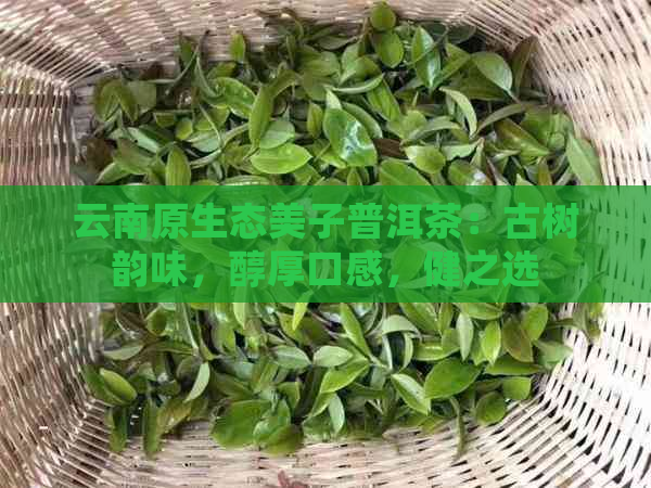 云南原生态美子普洱茶：古树韵味，醇厚口感，健之选